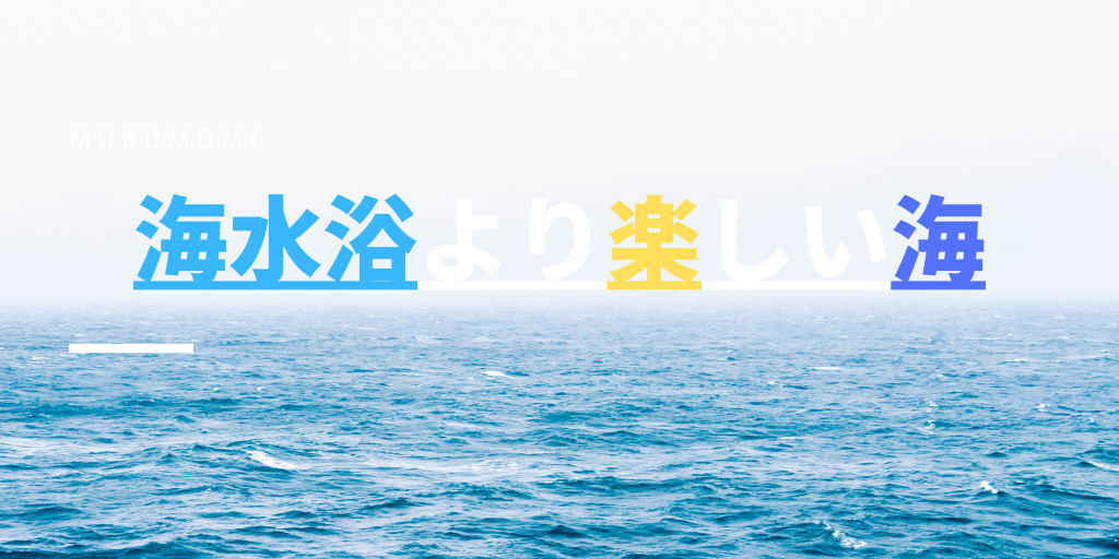 海水浴より楽しい海